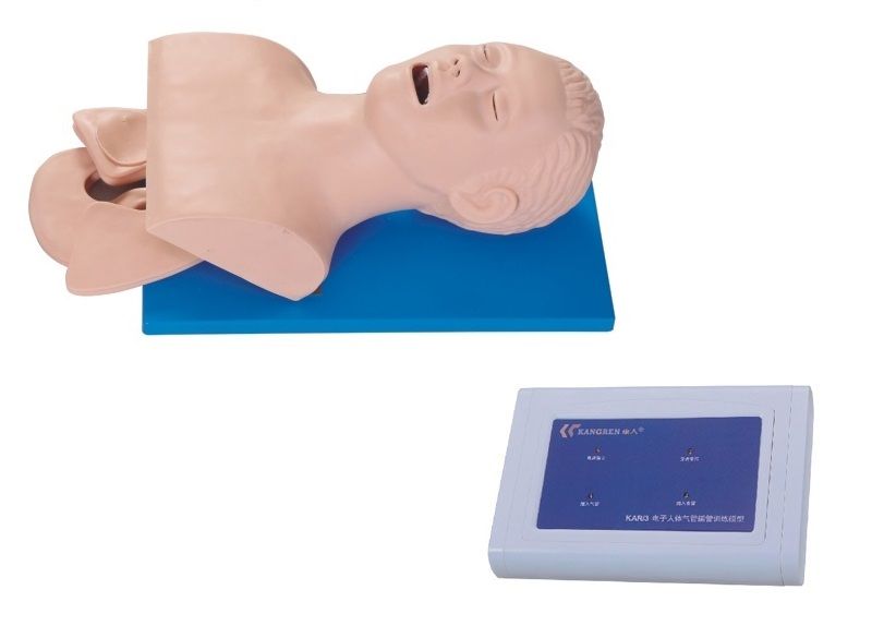 Electronic Trachea Intubation Training Model